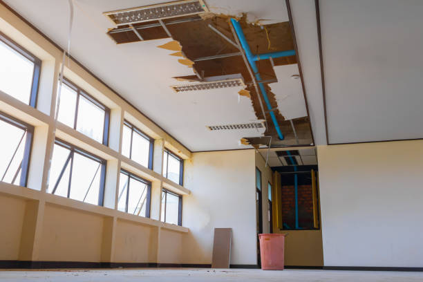 Best Water damage restoration near me  in Marionville, MO