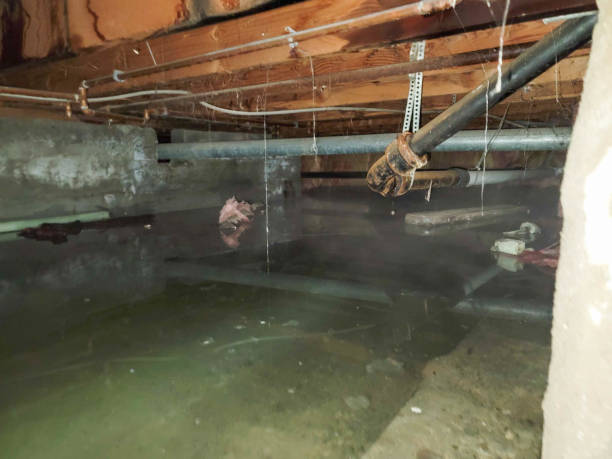 Fire Damage Restoration in Marionville, MO