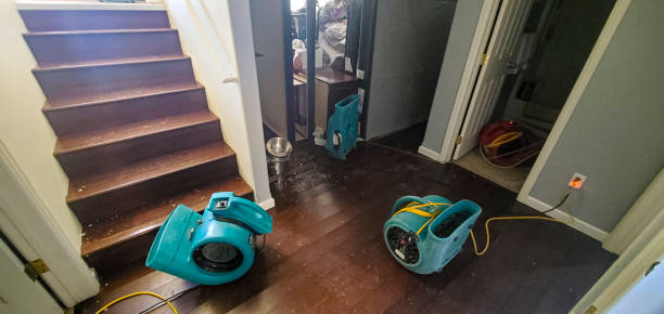 Best Residential water damage restoration  in Marionville, MO