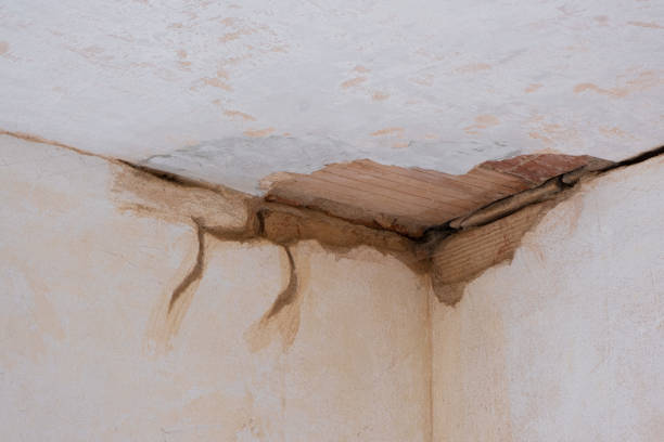 Best Local water damage restoration  in Marionville, MO