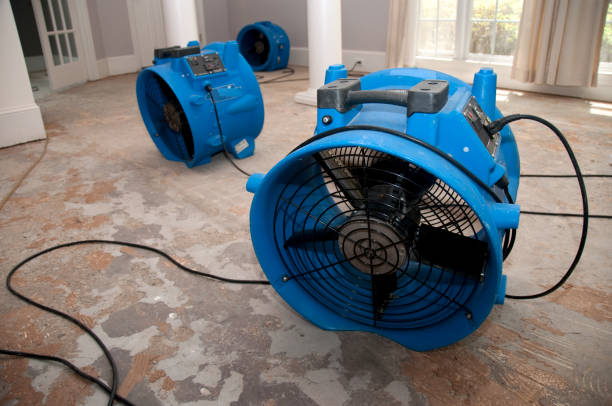 Best Water damage restoration company  in Marionville, MO